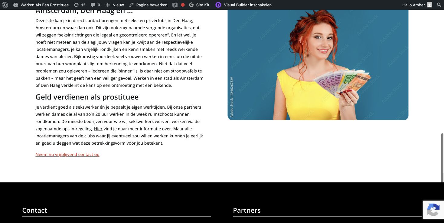 Screenshot van Werken als een prostituee